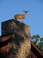 2008 CubsResidentCamp-058.jpg